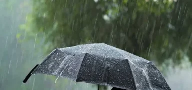 Meteoroloji uyardı: 26 il için kuvvetli yağış ve fırtına geliyor