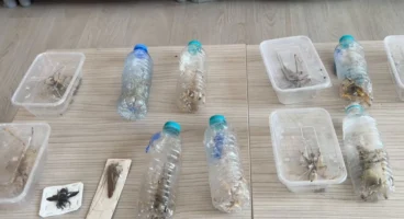 Nemrut’ta biyokaçakçılık operasyonu! 2 kişiye 1,4 milyon TL ceza