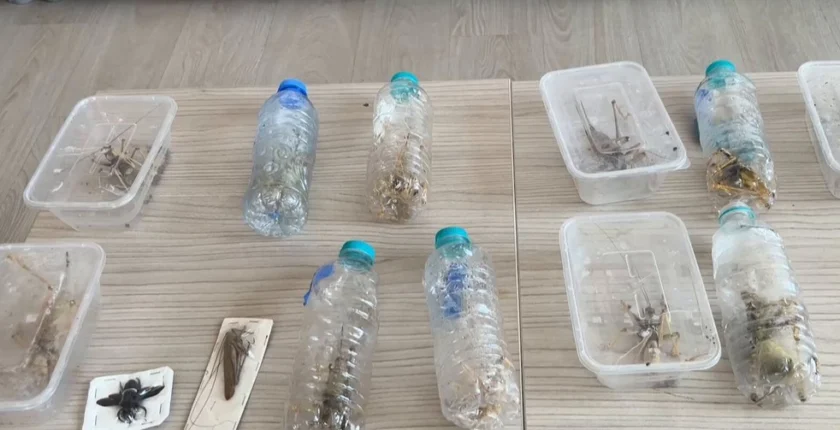 Nemrut’ta biyokaçakçılık operasyonu! 2 kişiye 1,4 milyon TL ceza