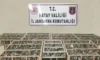 Saka kuşları özgürlüğe kanat çırptı