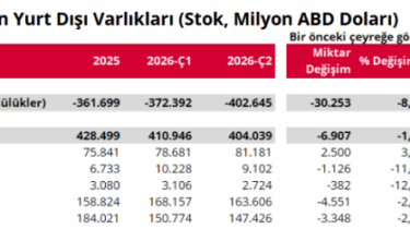 Türkiye’nin net yatırım pozisyonunda açık 402,6 milyar dolara ulaştı