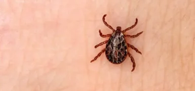 Sivas’ta KKKA şüphesiyle tedavi gören kişi hayatını kaybetti