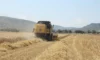 Tarımsal destekleme ödemeleri çiftçilerin hesaplarına aktarılıyor