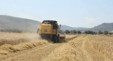 Tarımsal destekleme ödemeleri çiftçilerin hesaplarına aktarılıyor