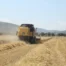 Tarımsal destekleme ödemeleri çiftçilerin hesaplarına aktarılıyor