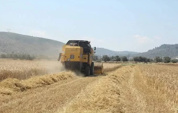 Tarımsal destekleme ödemeleri çiftçilerin hesaplarına aktarılıyor