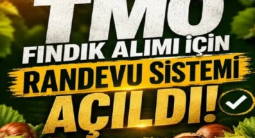 TMO fındık alımı için randevuları açtı