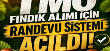 TMO fındık alımı için randevuları açtı