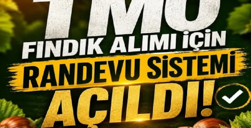TMO fındık alımı için randevuları açtı