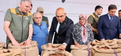 TMO ilk fındık alımını yaptı