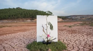Üniversitelerden COP31’e akademik ilgi: 3 bin 373 başvuru