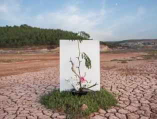 Üniversitelerden COP31’e akademik ilgi: 3 bin 373 başvuru