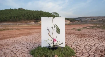 Üniversitelerden COP31’e akademik ilgi: 3 bin 373 başvuru