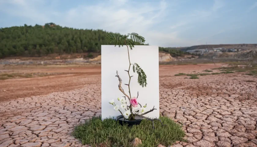 Üniversitelerden COP31’e akademik ilgi: 3 bin 373 başvuru
