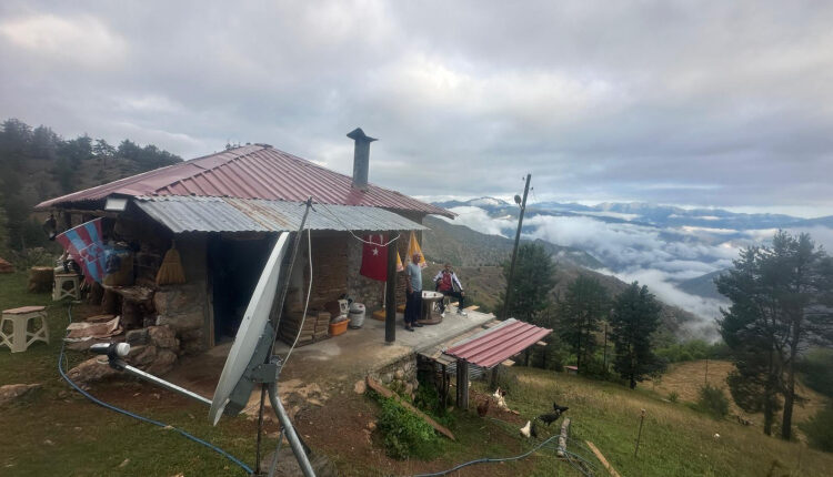Emekli oldu, eski televizyonu bıldırcın yuvasına çevirdi