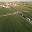 Şanlıurfa Eyyübiye’de Kırsal Mahalleleri Birleştiren Yola Sıcak Asfalt