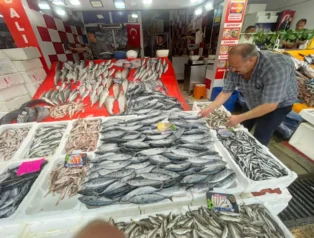 Av sezonu palamut bolluğuyla başladı