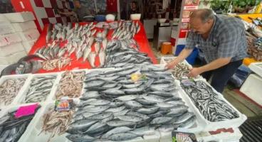 Av sezonu palamut bolluğuyla başladı