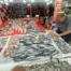 Av sezonu palamut bolluğuyla başladı