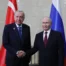 Cumhurbaşkanı Erdoğan, Rusya Devlet Başkanı Putin ile bir araya geldi