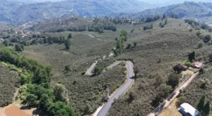 Ordu Ulubey Şeyhler’e sıcak asfalt