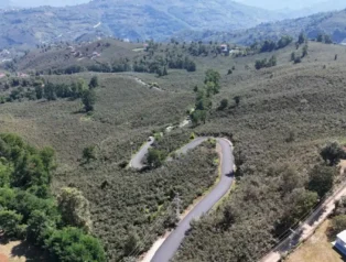 Ordu Ulubey Şeyhler’e sıcak asfalt