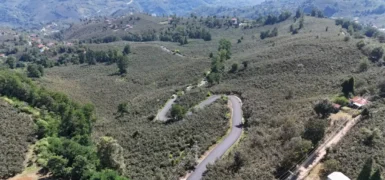 Ordu Ulubey Şeyhler’e sıcak asfalt